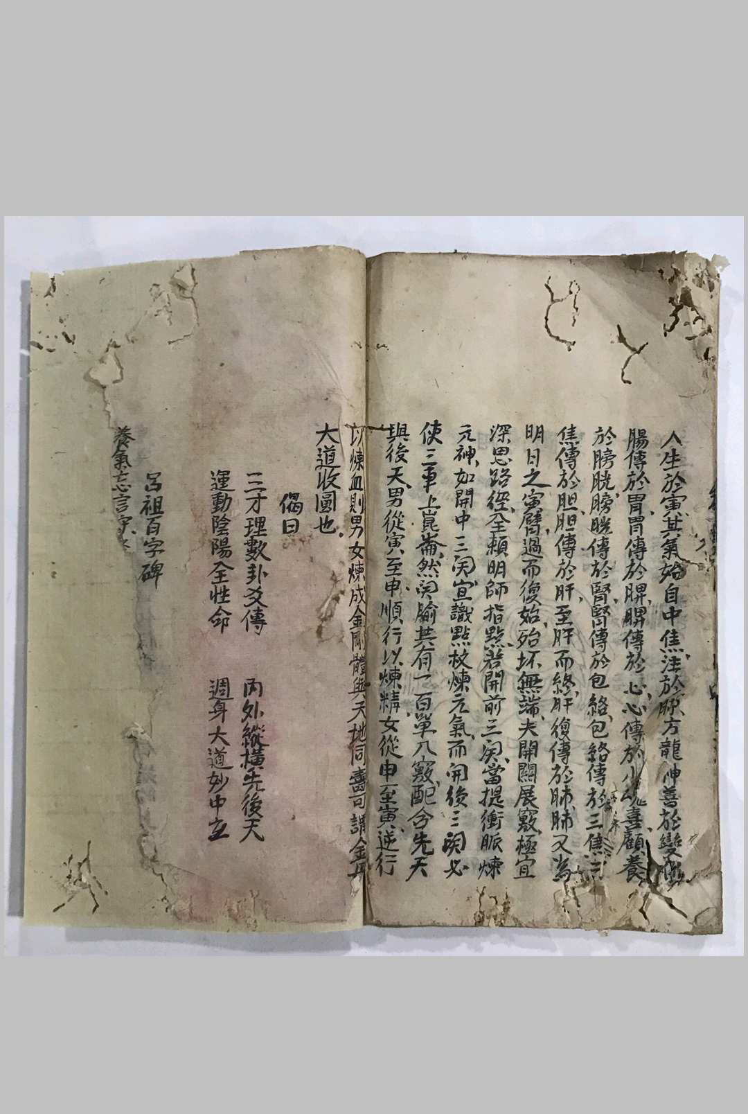 图片[14]中华古籍网-专注古书收集道医根源中华古籍网-专注古书收集中华古籍网