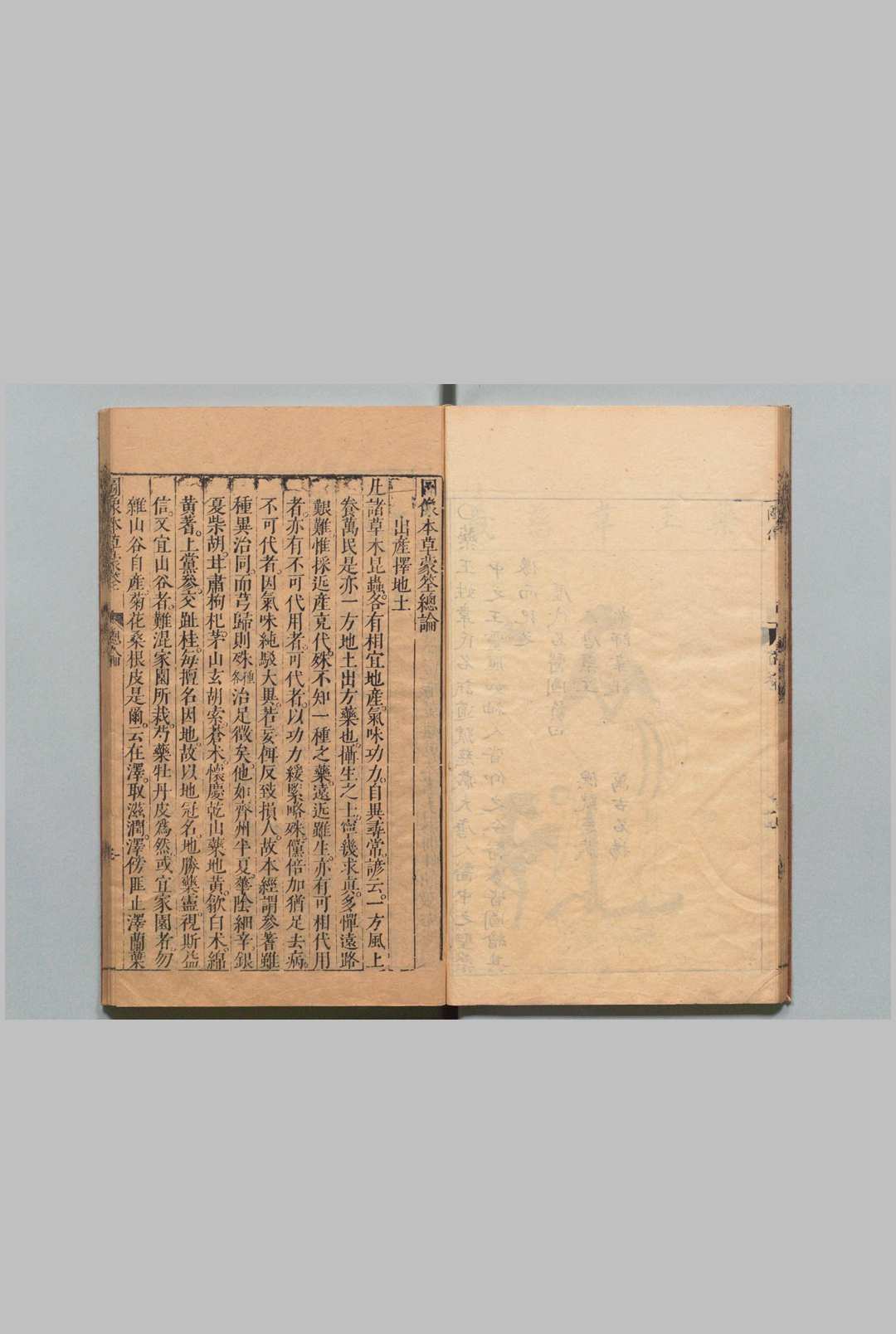 图片[8]中华古籍网-专注古书收集图像本草蒙筌 12卷 首１卷 陈嘉谟 刘孔敦 明崇祯元年中华古籍网-专注古书收集中华古籍网