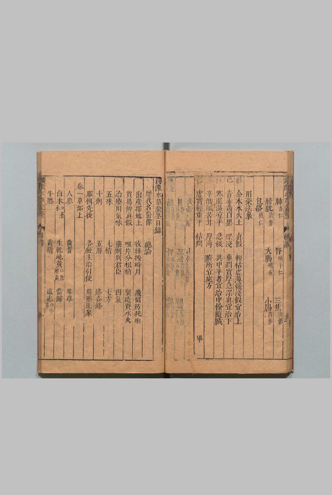 图片[5]中华古籍网-专注古书收集图像本草蒙筌 12卷 首１卷 陈嘉谟 刘孔敦 明崇祯元年中华古籍网-专注古书收集中华古籍网