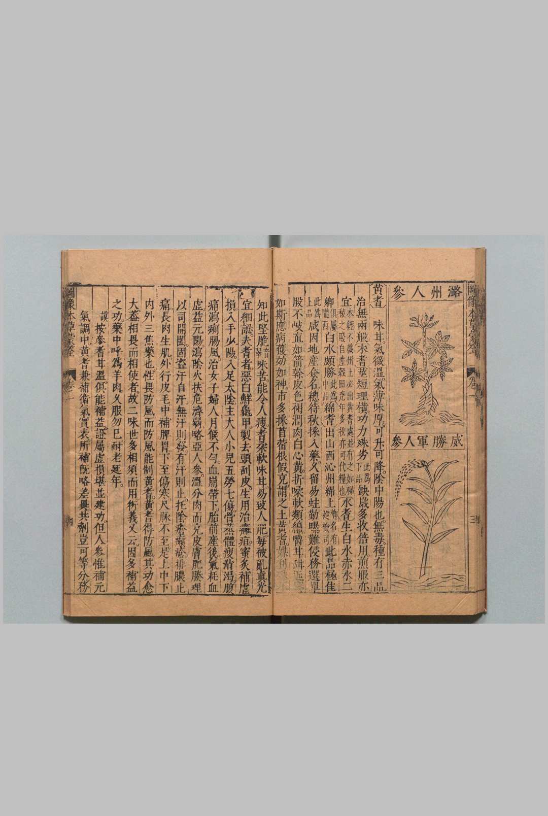 图片[11]中华古籍网-专注古书收集图像本草蒙筌 12卷 首１卷 陈嘉谟 刘孔敦 明崇祯元年中华古籍网-专注古书收集中华古籍网