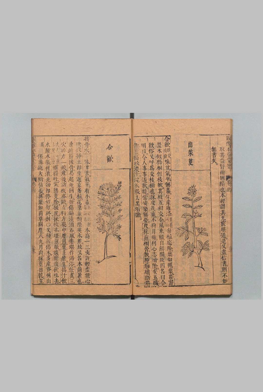 图片[12]中华古籍网-专注古书收集图像本草蒙筌 12卷 首１卷 陈嘉谟 刘孔敦 明崇祯元年中华古籍网-专注古书收集中华古籍网