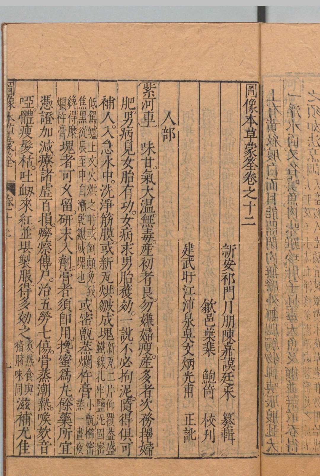 图片[13]中华古籍网-专注古书收集图像本草蒙筌 12卷 首１卷 陈嘉谟 刘孔敦 明崇祯元年中华古籍网-专注古书收集中华古籍网