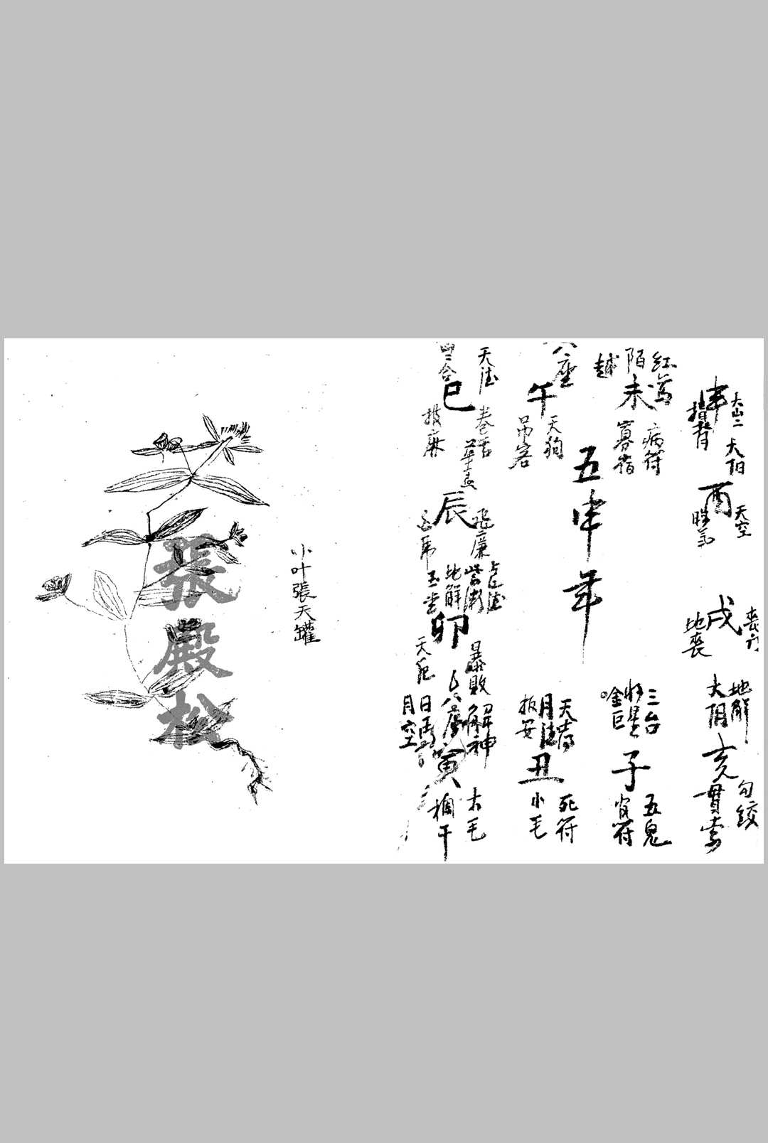 图片[10]中华古籍网-专注古书收集八字算命藏诀中华古籍网-专注古书收集中华古籍网