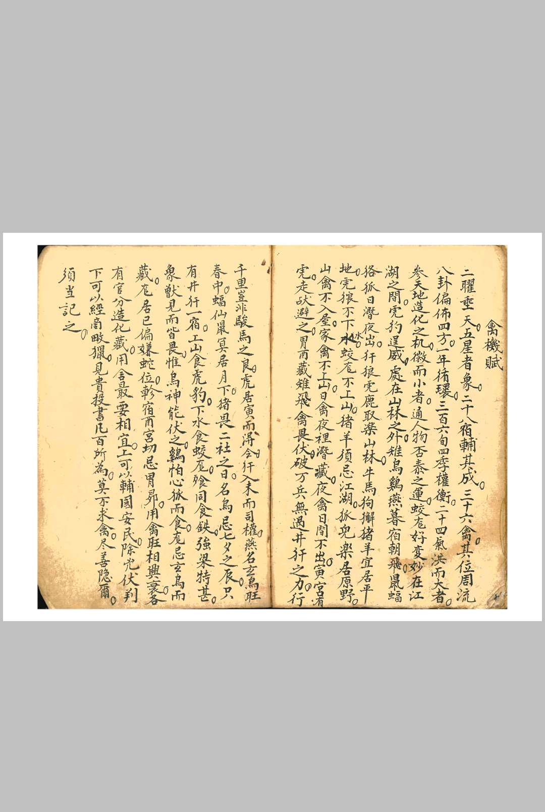 图片[18]中华古籍网-专注古书收集二十四山六十甲子日大利书中华古籍网-专注古书收集中华古籍网