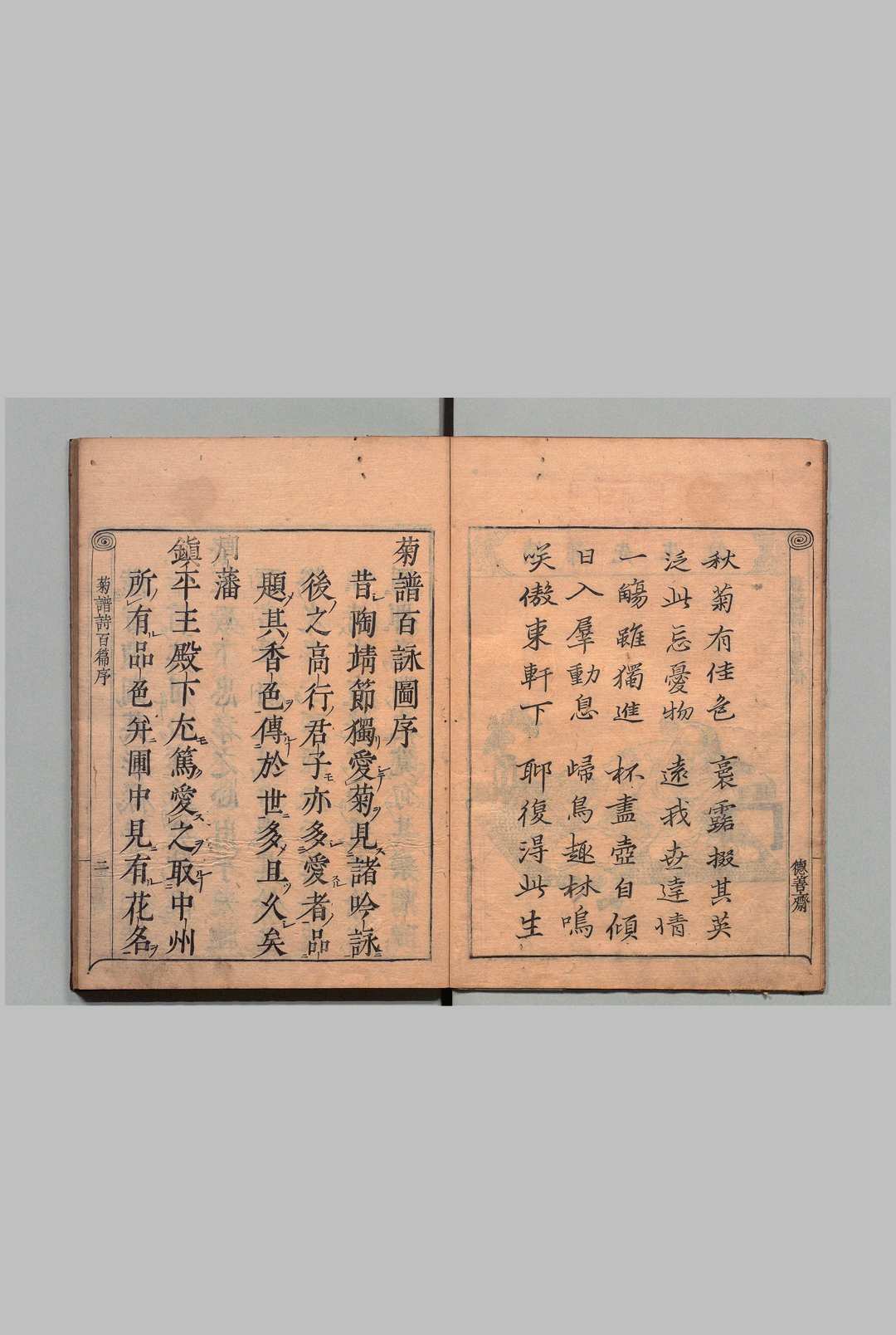 图片[2]中华古籍网-专注古书收集菊谱百咏图 ２卷 附１卷 朱有爌（明）德善斋（明）刊本 ,贞享3年中华古籍网-专注古书收集中华古籍网