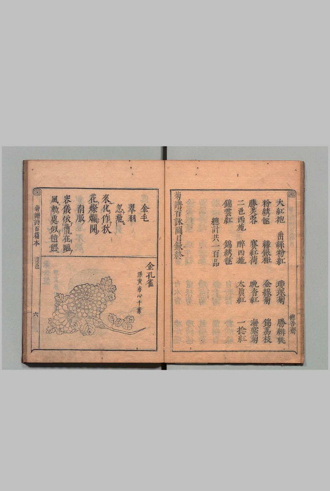 图片[4]中华古籍网-专注古书收集菊谱百咏图 ２卷 附１卷 朱有爌（明）德善斋（明）刊本 ,贞享3年中华古籍网-专注古书收集中华古籍网