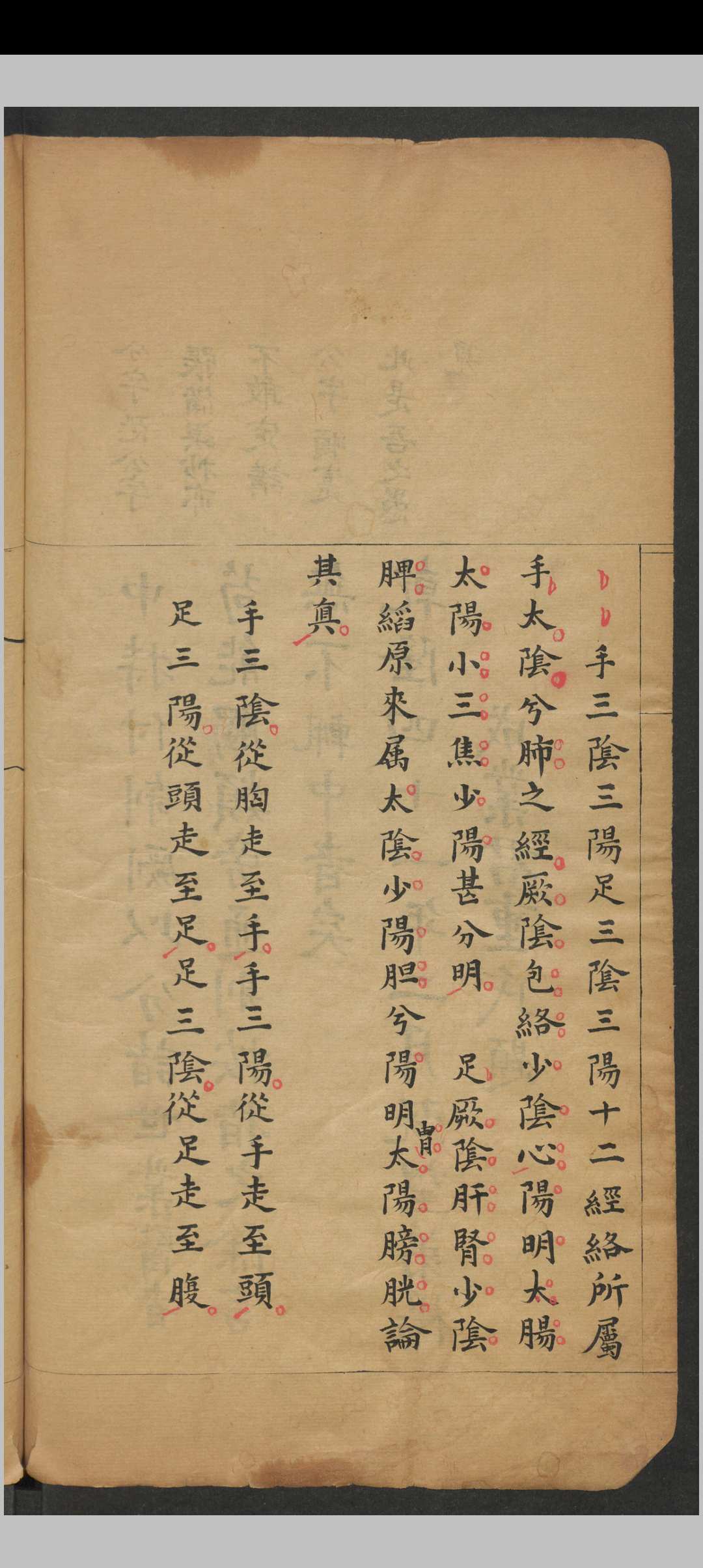 图片[5]中华古籍网-专注古书收集脉理正宗.[清乾隆]郎毓純参辑.清光绪二十四年赵群生抄本中华古籍网-专注古书收集中华古籍网