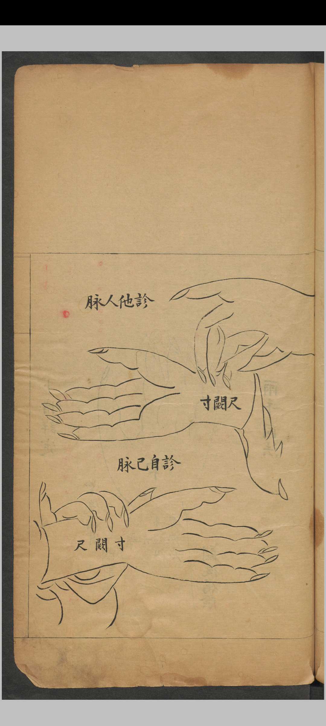 图片[3]中华古籍网-专注古书收集脉理正宗.[清乾隆]郎毓純参辑.清光绪二十四年赵群生抄本中华古籍网-专注古书收集中华古籍网