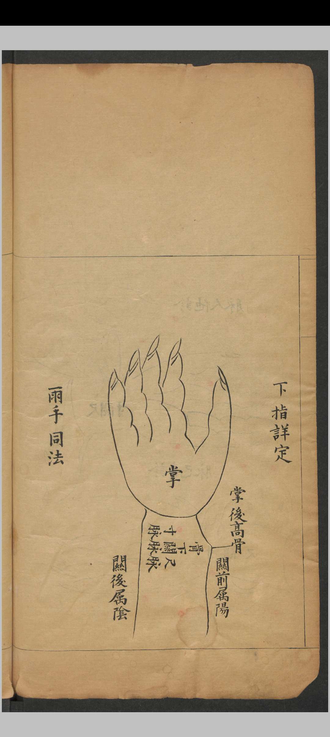 图片[4]中华古籍网-专注古书收集脉理正宗.[清乾隆]郎毓純参辑.清光绪二十四年赵群生抄本中华古籍网-专注古书收集中华古籍网