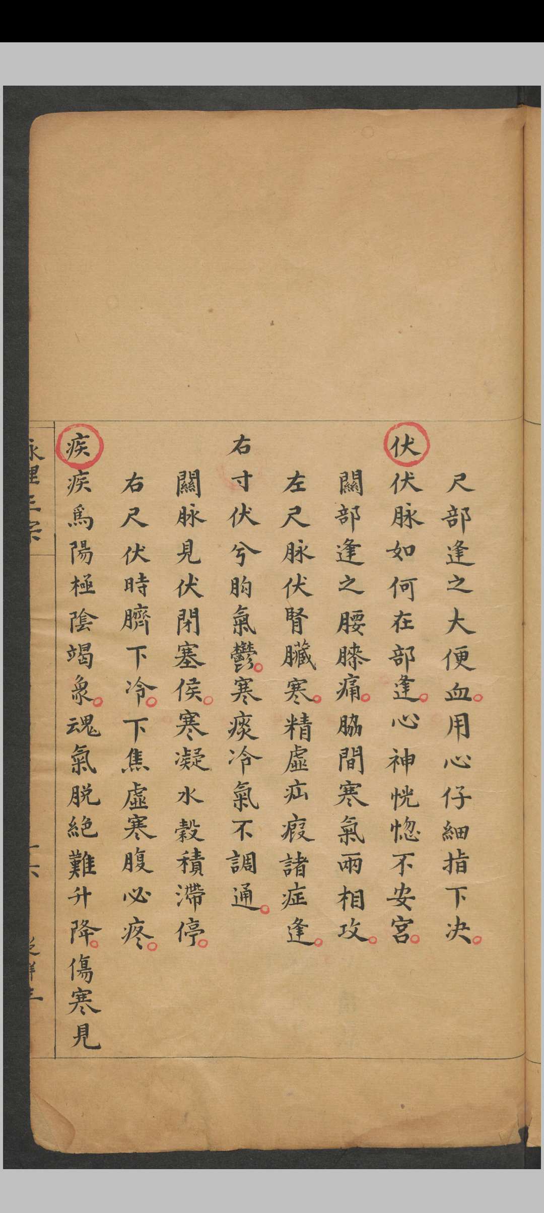 图片[8]中华古籍网-专注古书收集脉理正宗.[清乾隆]郎毓純参辑.清光绪二十四年赵群生抄本中华古籍网-专注古书收集中华古籍网