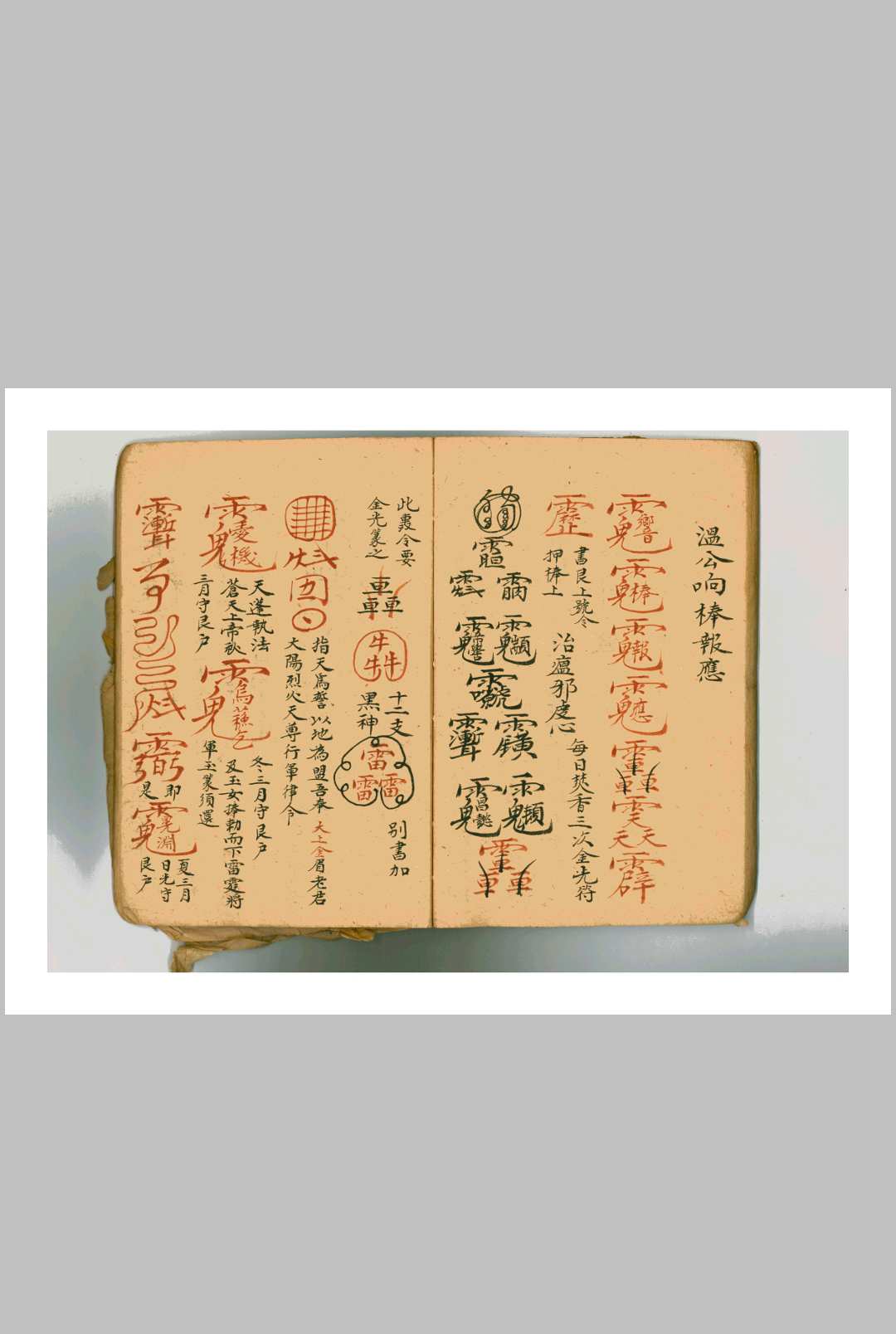 图片[20]中华古籍网-专注古书收集王公温公法宝中华古籍网-专注古书收集中华古籍网