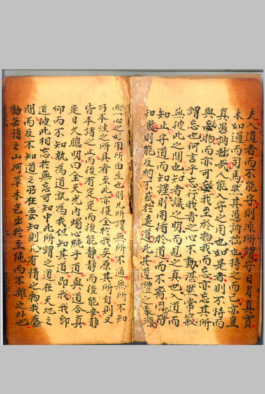 图片[4]中华古籍网-专注古书收集广成岚玉全宗中华古籍网-专注古书收集中华古籍网