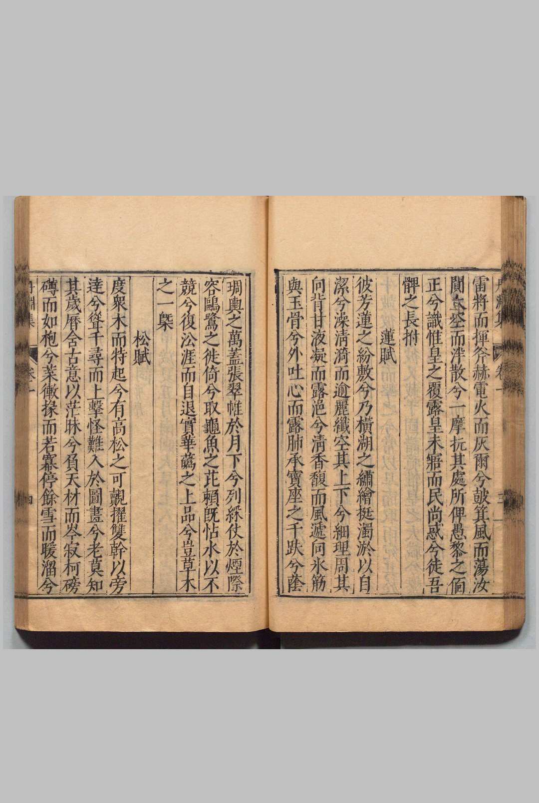 图片[7]中华古籍网-专注古书收集陈眉公先生订正丹渊集 40卷 拾遗２卷 附１卷 年谱１卷 文同（宋）李应魁 ,明万历38年中华古籍网-专注古书收集中华古籍网
