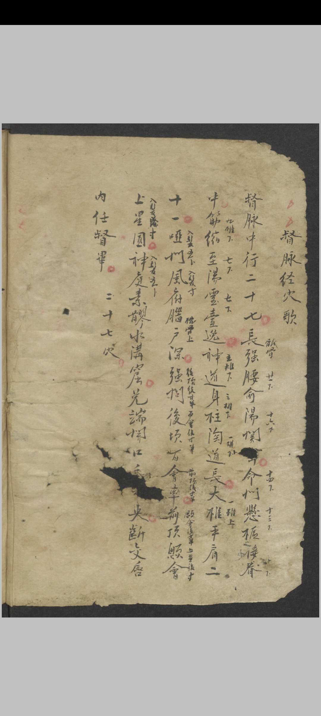 针灸大成节抄 , 1800中华古籍网-专注古书收集中华古籍网