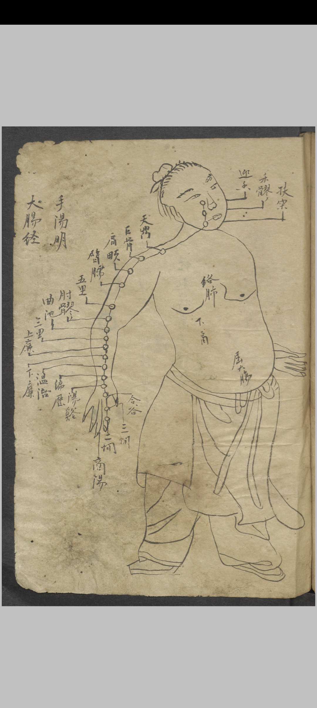 图片[8]中华古籍网-专注古书收集针灸大成节抄 , 1800中华古籍网-专注古书收集中华古籍网