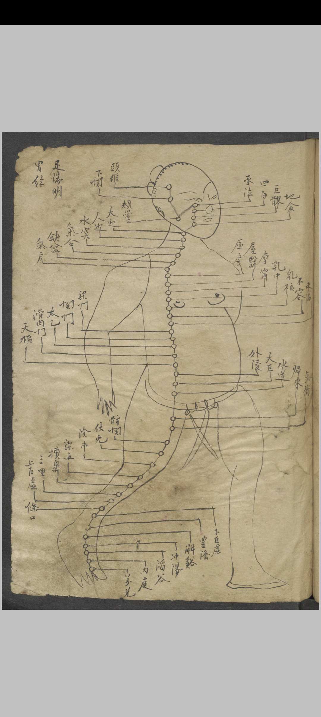 图片[5]中华古籍网-专注古书收集针灸大成节抄 , 1800中华古籍网-专注古书收集中华古籍网