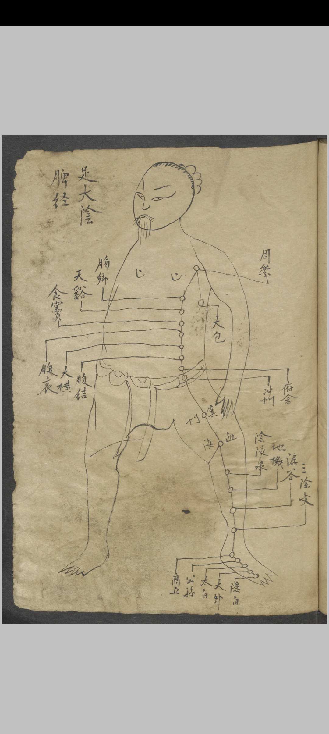 图片[9]中华古籍网-专注古书收集针灸大成节抄 , 1800中华古籍网-专注古书收集中华古籍网