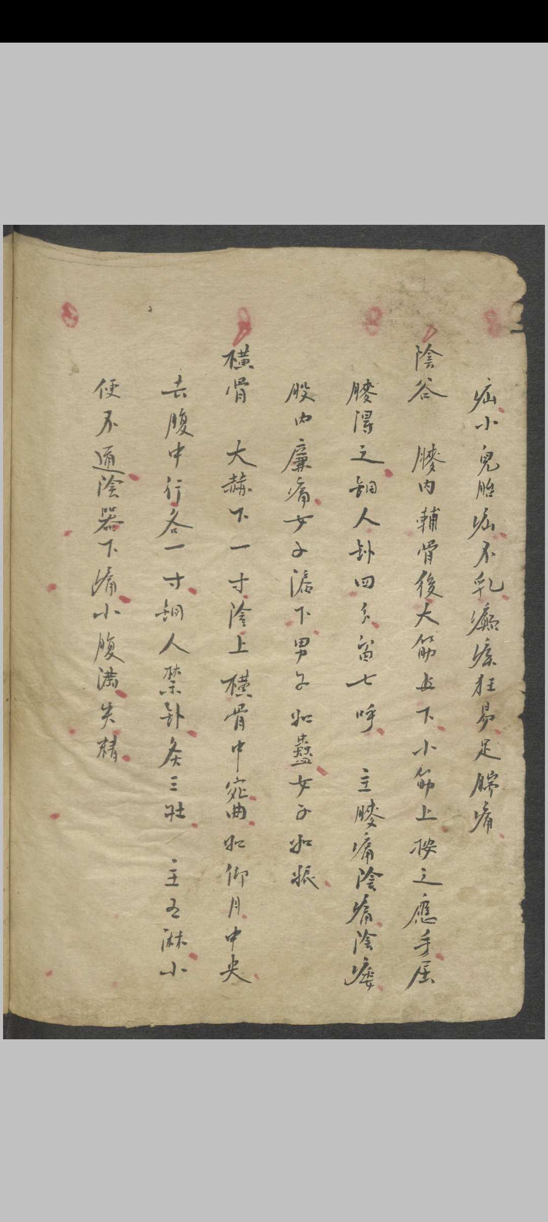 图片[14]中华古籍网-专注古书收集针灸大成节抄 , 1800中华古籍网-专注古书收集中华古籍网