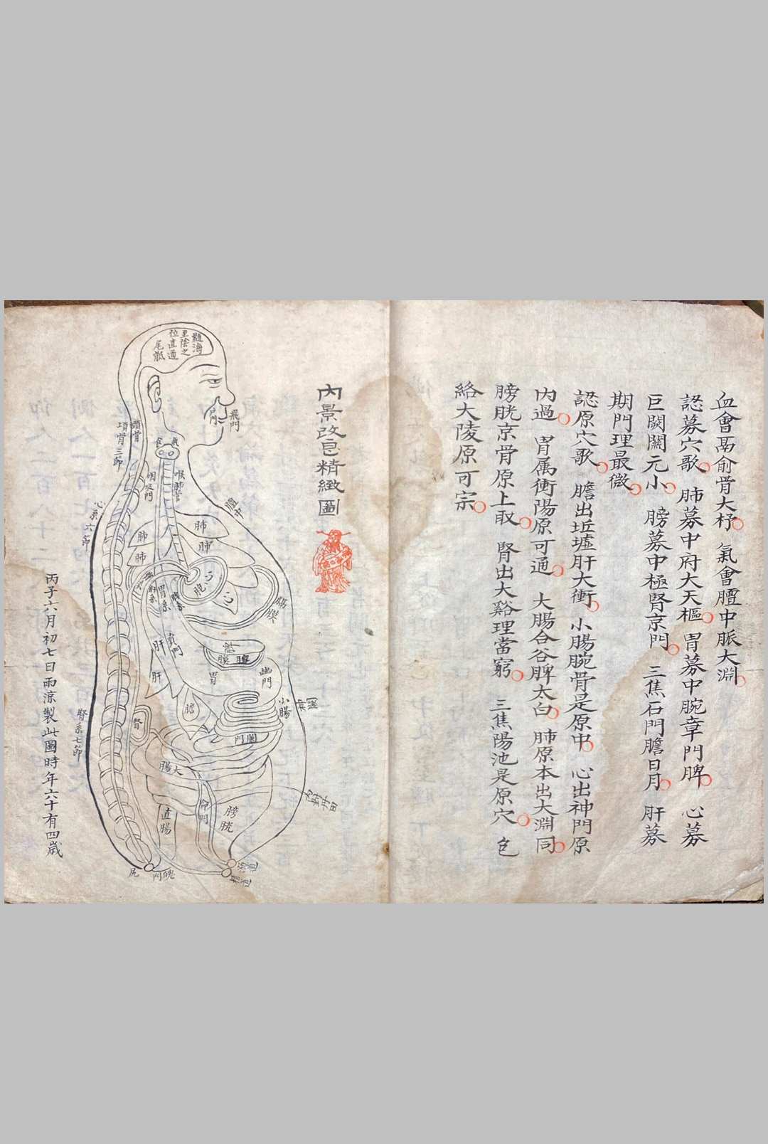 图片[7]中华古籍网-专注古书收集明堂孔穴图中华古籍网-专注古书收集中华古籍网