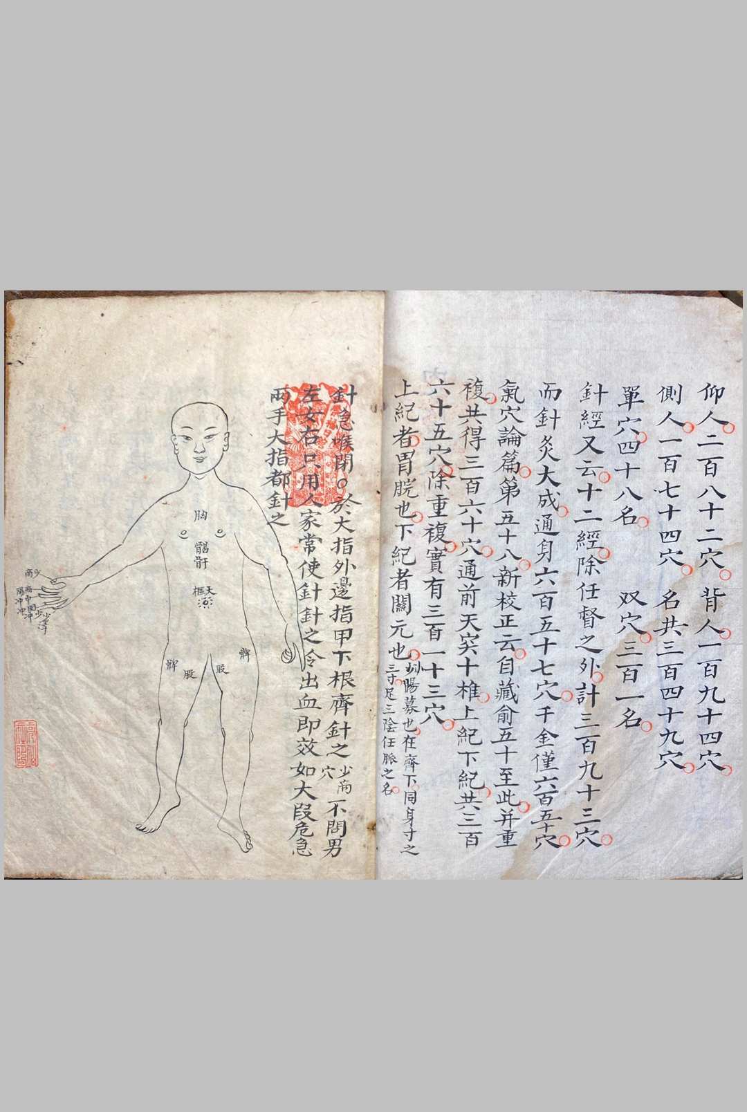 图片[5]中华古籍网-专注古书收集明堂孔穴图中华古籍网-专注古书收集中华古籍网