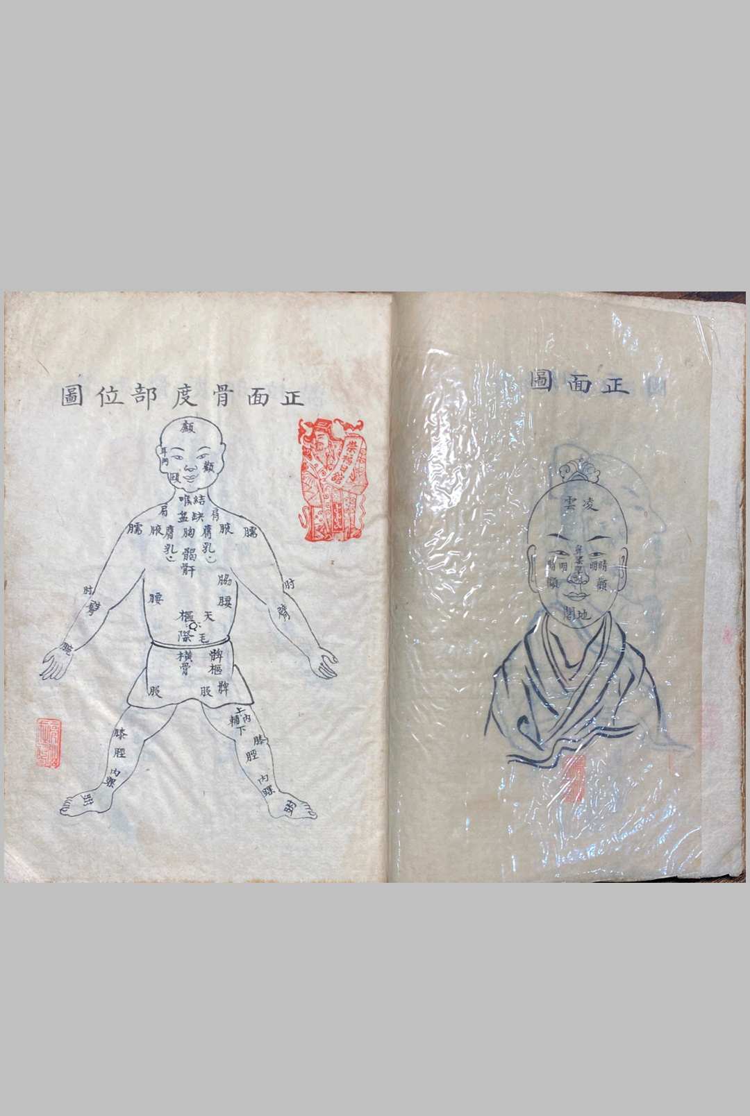 图片[12]中华古籍网-专注古书收集明堂孔穴图中华古籍网-专注古书收集中华古籍网