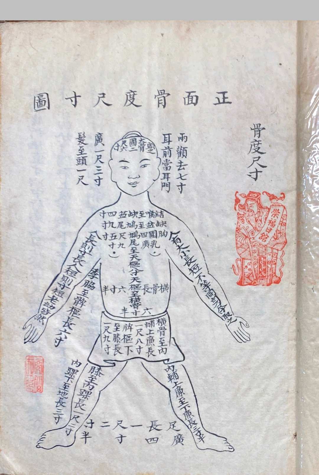 图片[11]中华古籍网-专注古书收集明堂孔穴图中华古籍网-专注古书收集中华古籍网
