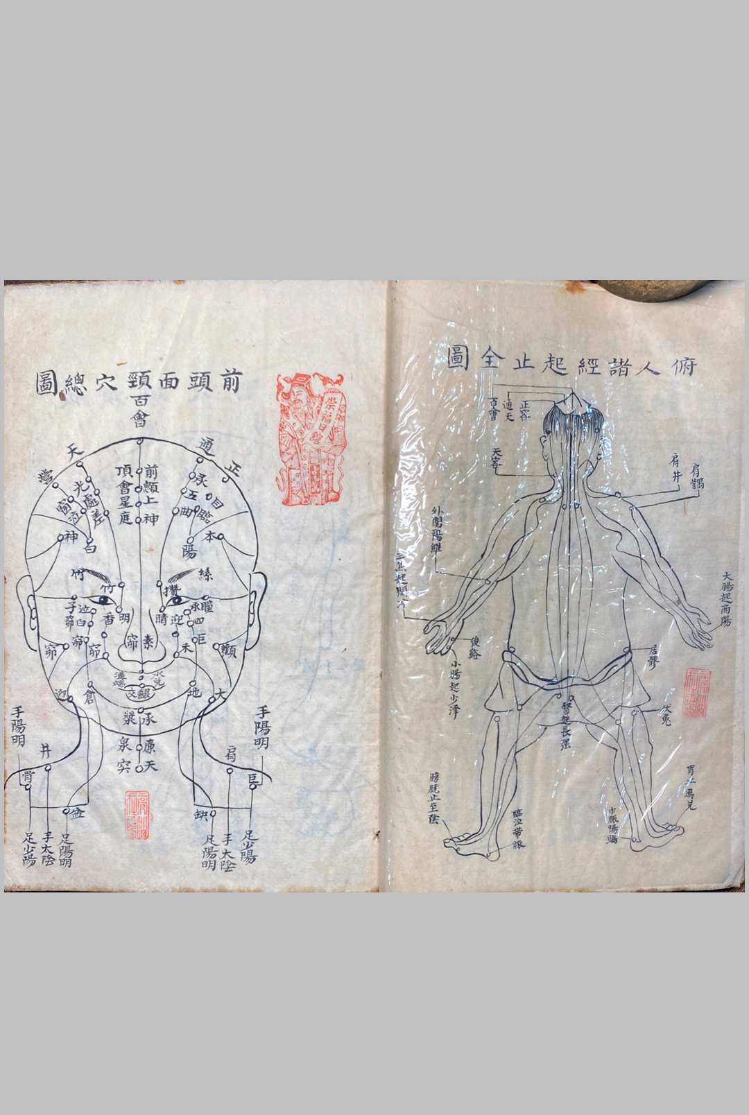 图片[8]中华古籍网-专注古书收集明堂孔穴图中华古籍网-专注古书收集中华古籍网