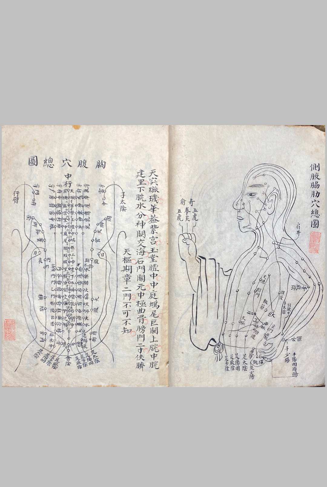 图片[14]中华古籍网-专注古书收集明堂孔穴图中华古籍网-专注古书收集中华古籍网