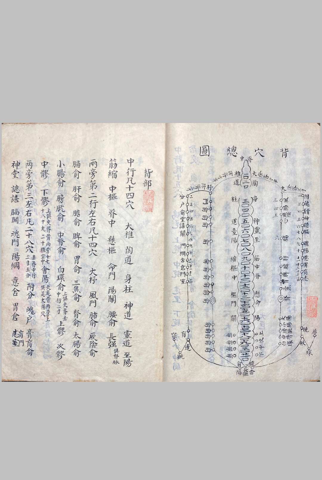 图片[15]中华古籍网-专注古书收集明堂孔穴图中华古籍网-专注古书收集中华古籍网