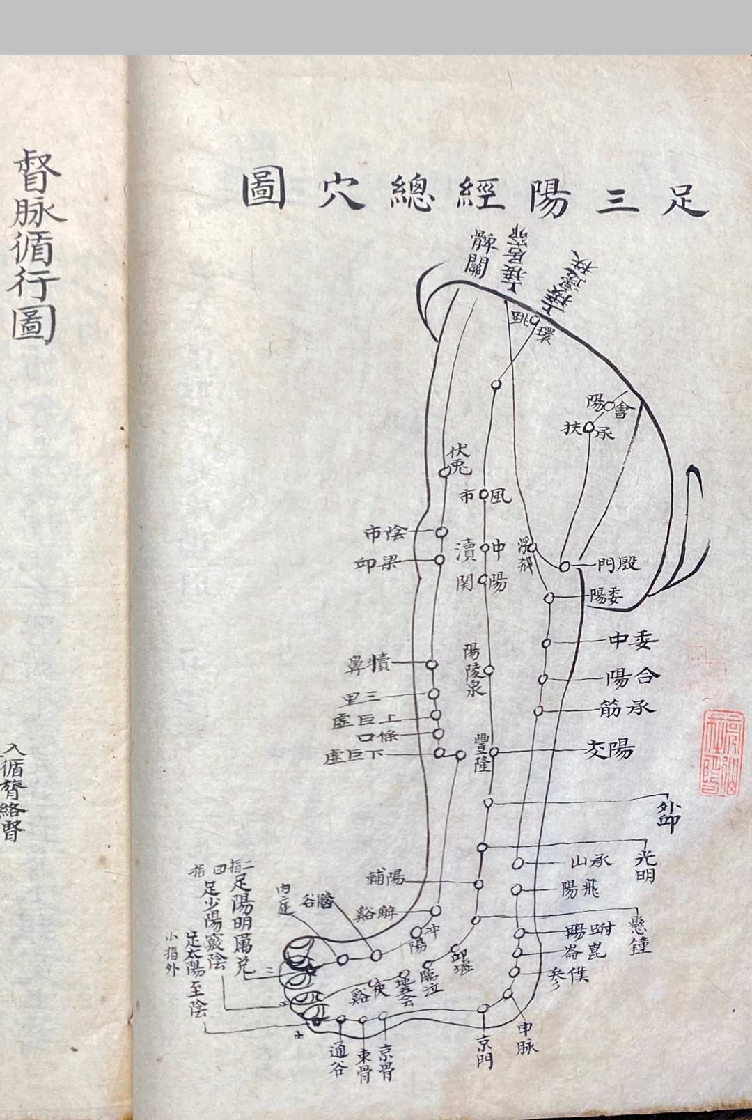 图片[19]中华古籍网-专注古书收集明堂孔穴图中华古籍网-专注古书收集中华古籍网