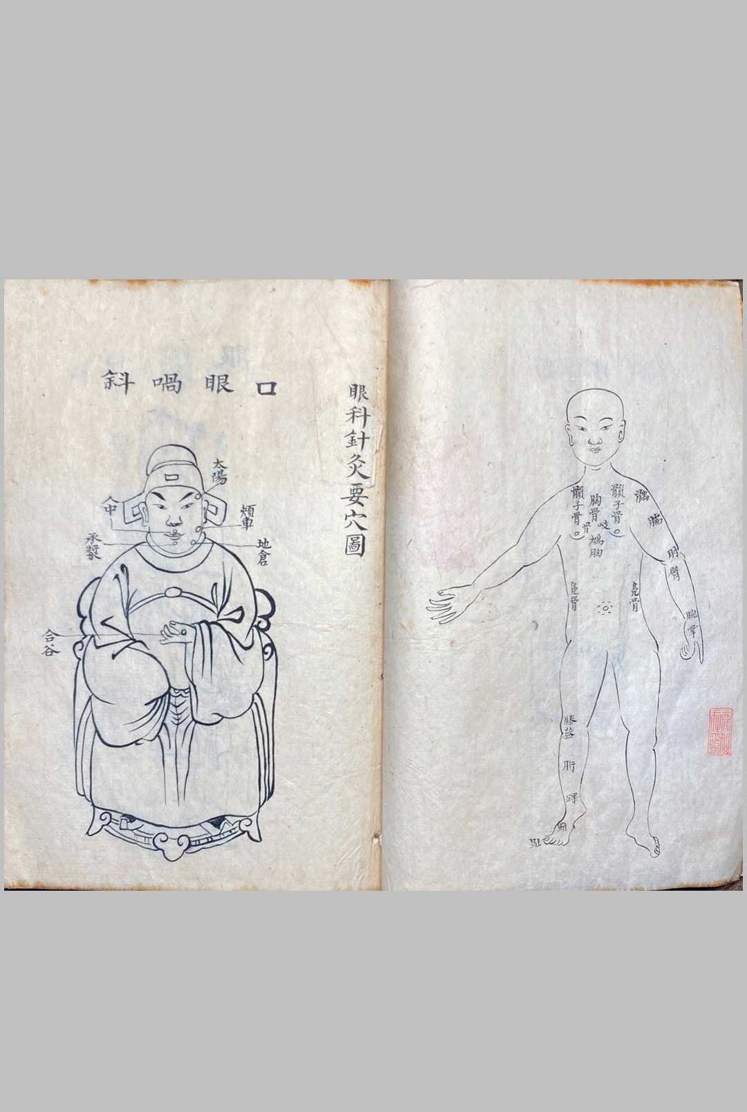 图片[17]中华古籍网-专注古书收集明堂孔穴图中华古籍网-专注古书收集中华古籍网