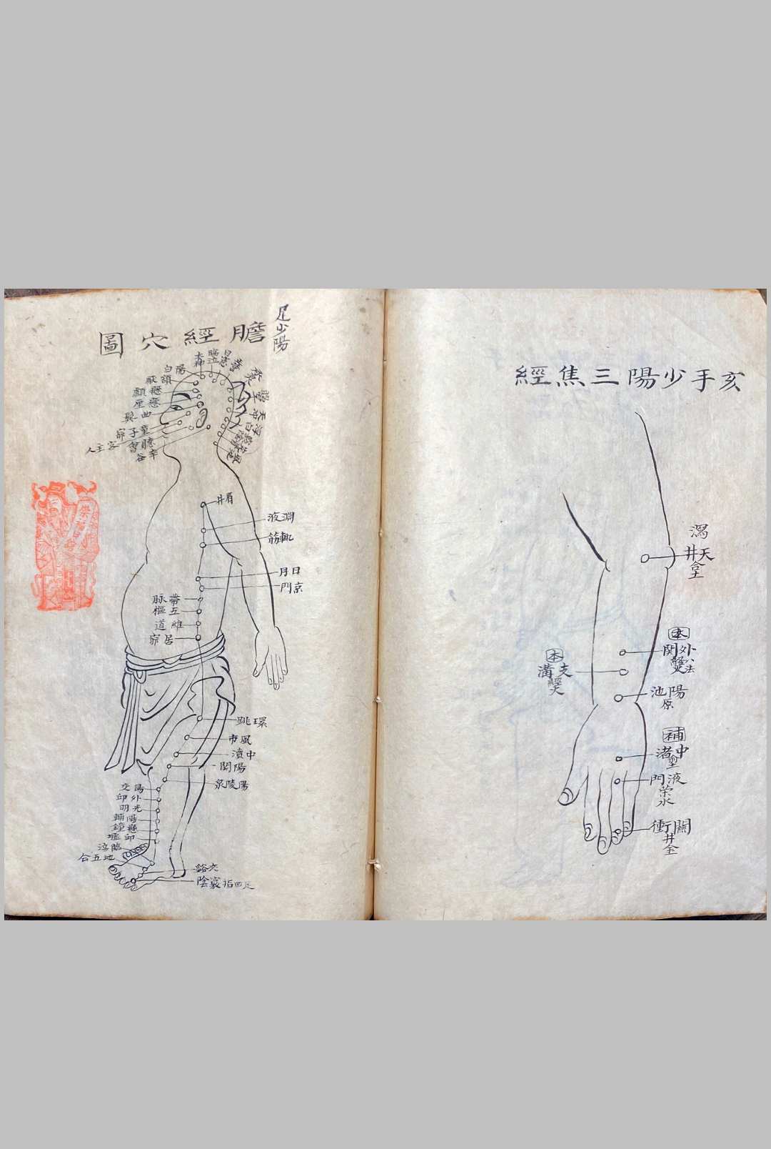 图片[22]中华古籍网-专注古书收集明堂孔穴图中华古籍网-专注古书收集中华古籍网