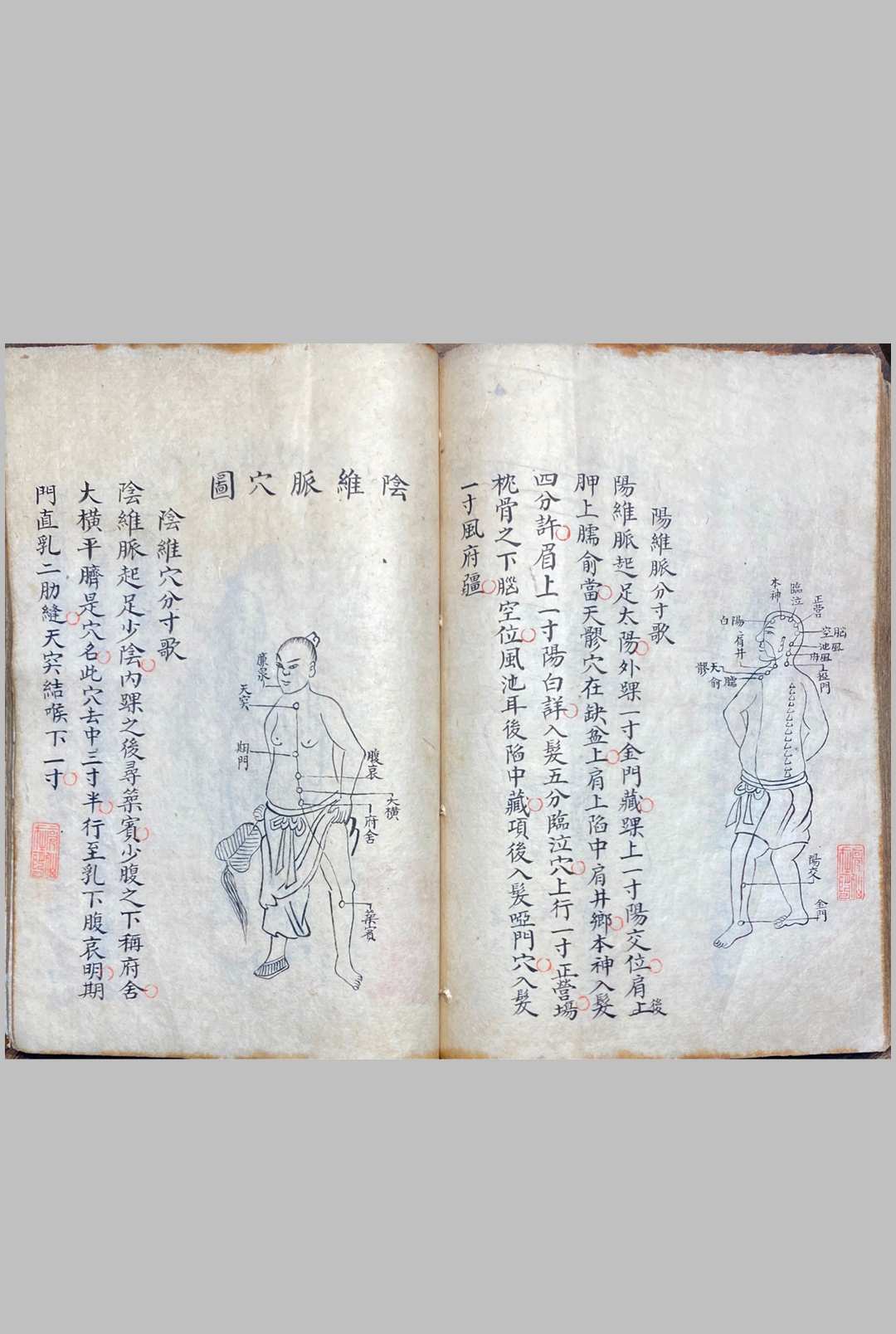 图片[20]中华古籍网-专注古书收集明堂孔穴图中华古籍网-专注古书收集中华古籍网