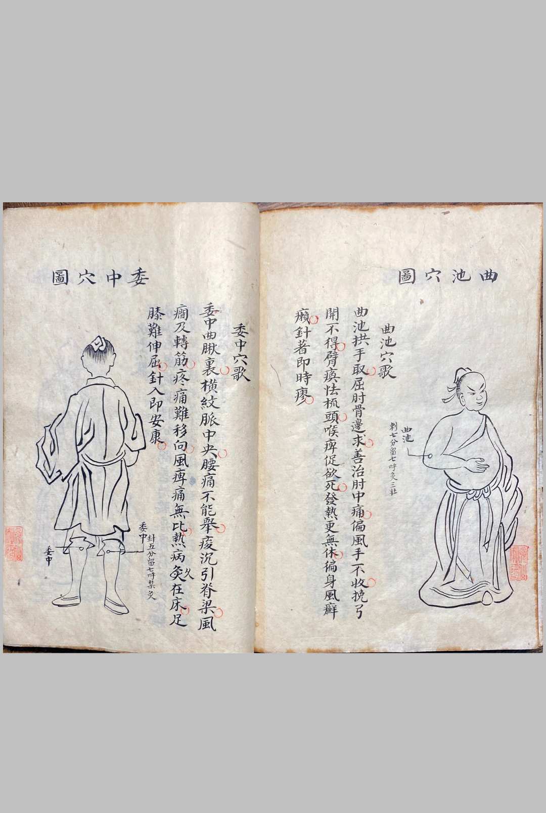 图片[26]中华古籍网-专注古书收集明堂孔穴图中华古籍网-专注古书收集中华古籍网