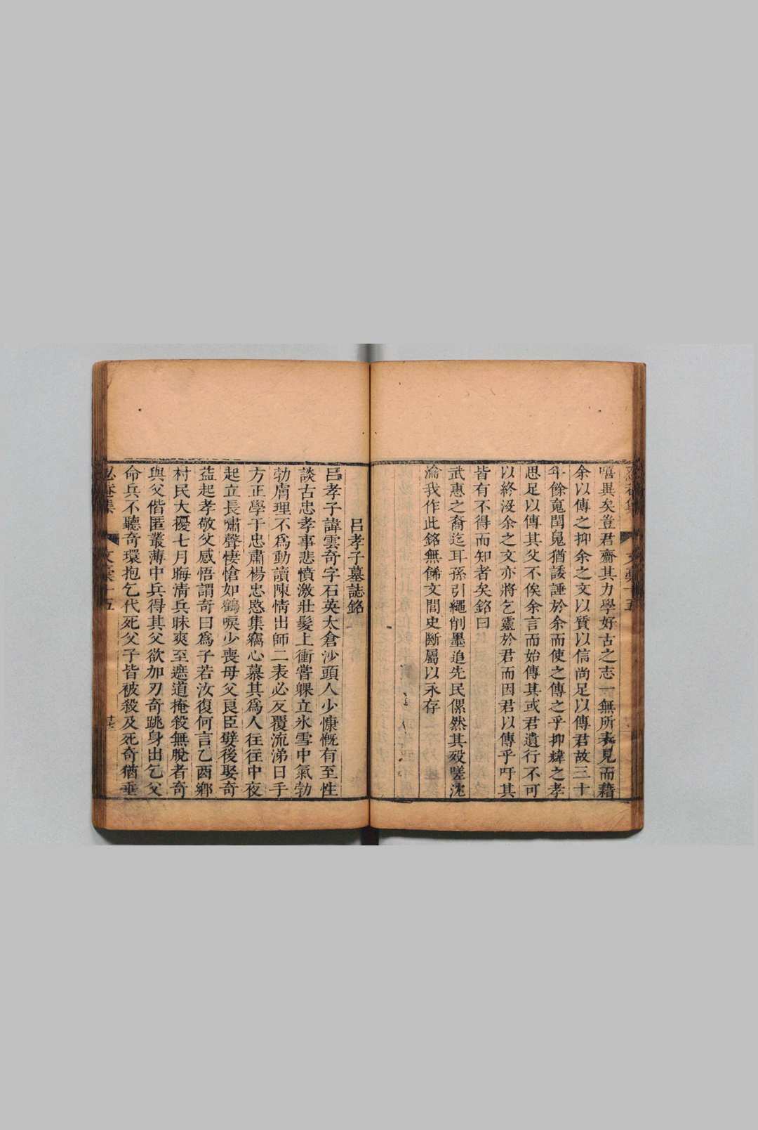 图片[5]中华古籍网-专注古书收集忍菴集 文槁20卷 黄与坚  清刊本中华古籍网-专注古书收集中华古籍网