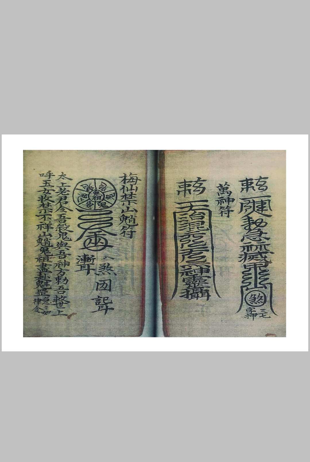 图片[13]中华古籍网-专注古书收集梅仙根基实录中华古籍网-专注古书收集中华古籍网