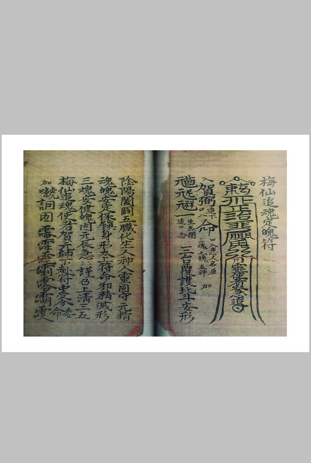 图片[11]中华古籍网-专注古书收集梅仙根基实录中华古籍网-专注古书收集中华古籍网