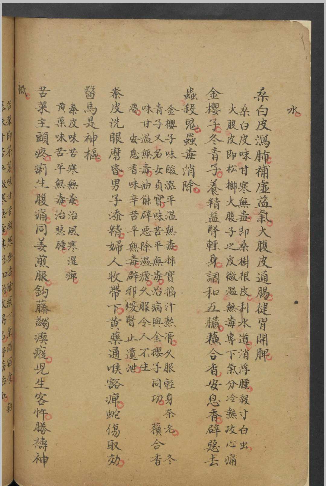 图片[14]中华古籍网-专注古书收集钱汝文 本草医方抄 , 1900中华古籍网-专注古书收集中华古籍网