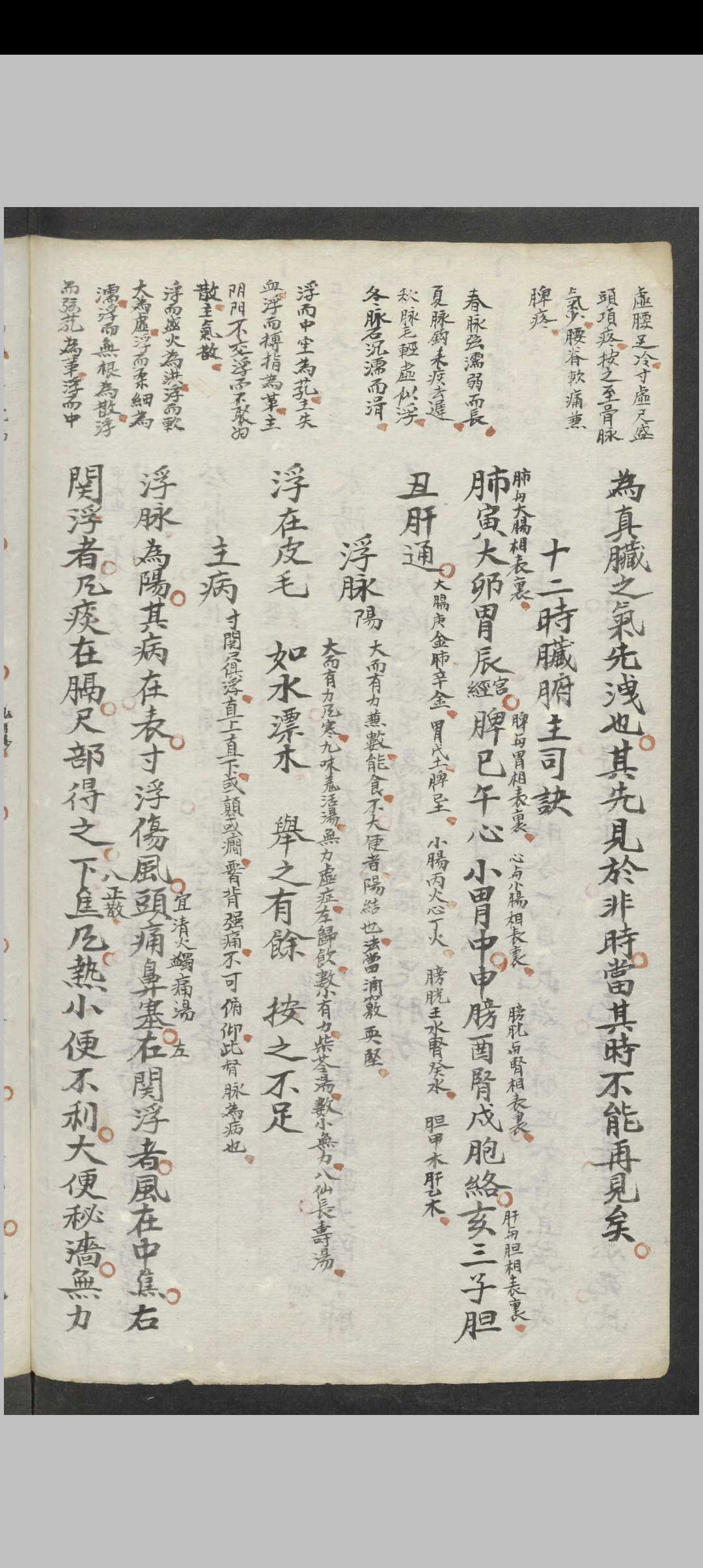 图片[14]中华古籍网-专注古书收集刘全备 新著脉诀要旨 , 1900中华古籍网-专注古书收集中华古籍网