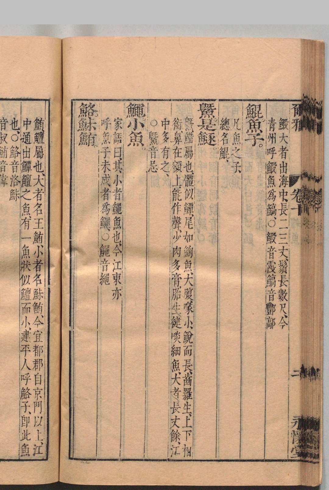 图片[7]中华古籍网-专注古书收集尔雅 11卷 郭璞（晋）金蟠（明）明刊本中华古籍网-专注古书收集中华古籍网