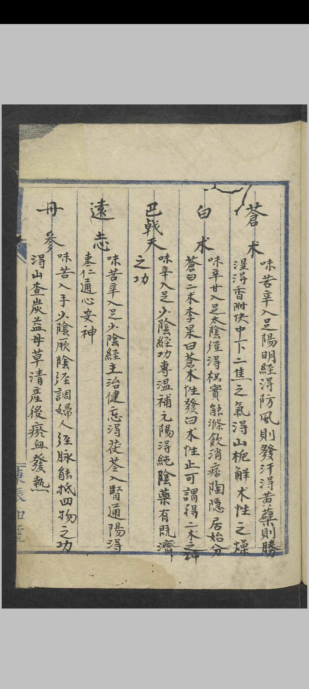 图片[5]中华古籍网-专注古书收集王子接 绛雪园得宜本草 , 1900中华古籍网-专注古书收集中华古籍网