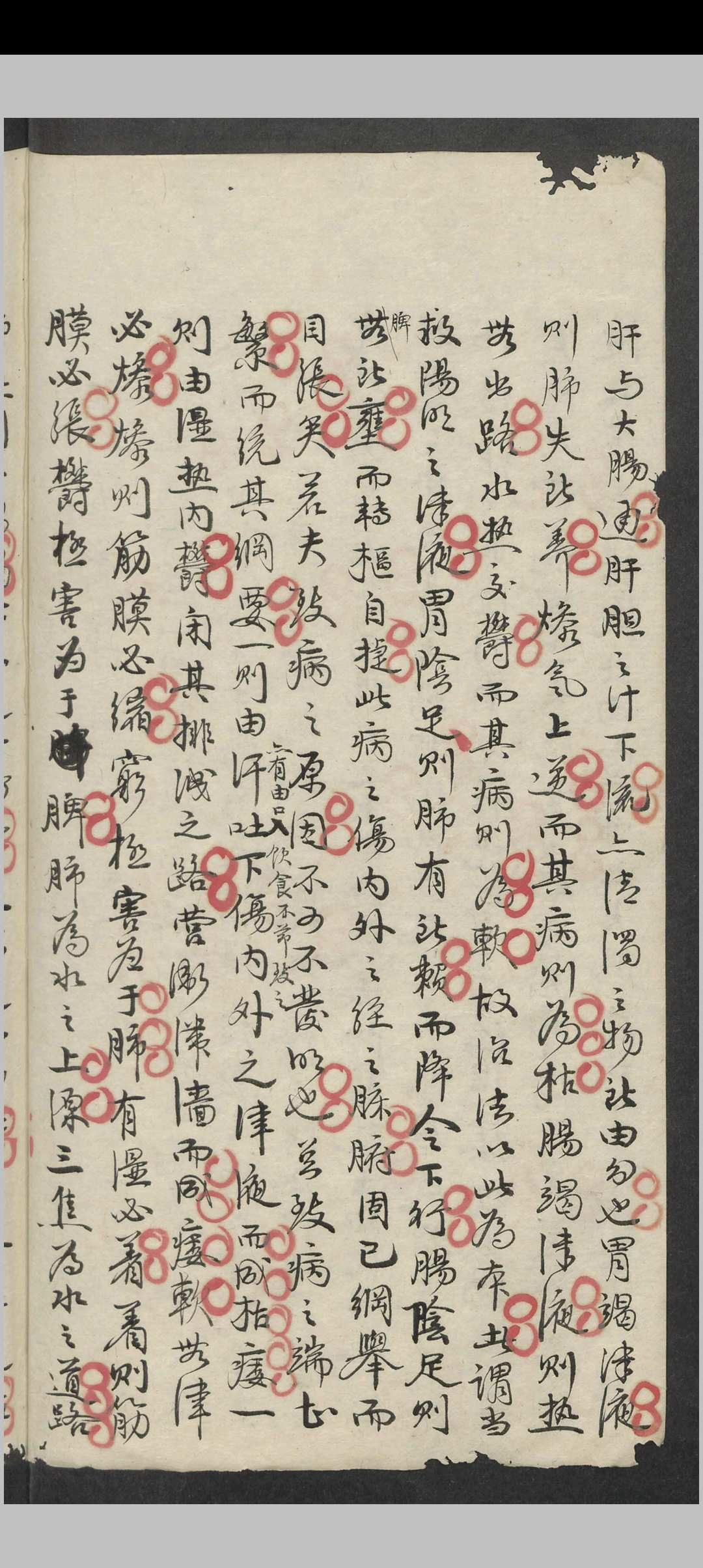 图片[4]中华古籍网-专注古书收集痿症方药讲义 , 1900中华古籍网-专注古书收集中华古籍网