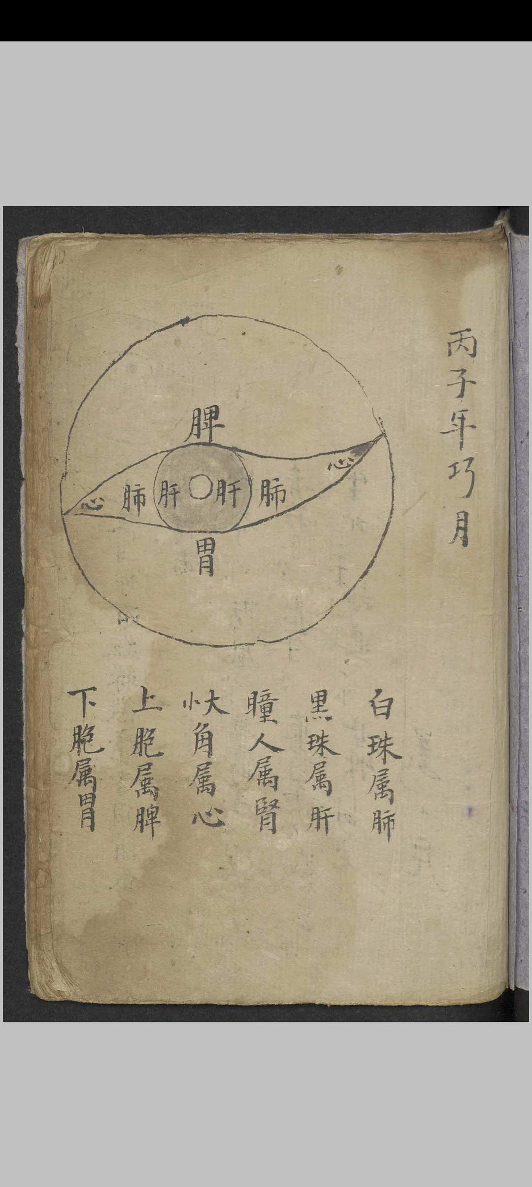 图片[2]中华古籍网-专注古书收集金陵陈世溶眼科方集 , 1900中华古籍网-专注古书收集中华古籍网