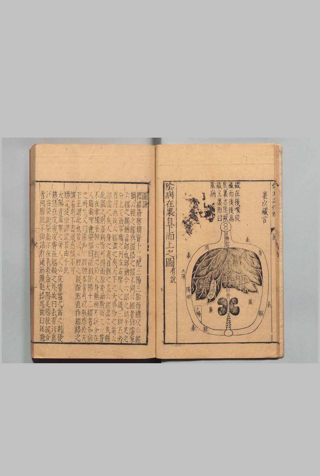 图片[3]中华古籍网-专注古书收集伤寒论条辨 ８卷 伤寒论条辨本草钞・痉书・伤寒论条辨或问各１卷 方有执 明万历21年中华古籍网-专注古书收集中华古籍网
