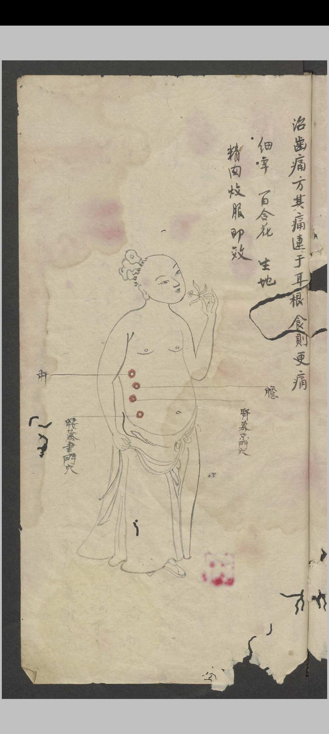 图片[3]中华古籍网-专注古书收集罗延龄 开卷有益（医） , 1943中华古籍网-专注古书收集中华古籍网