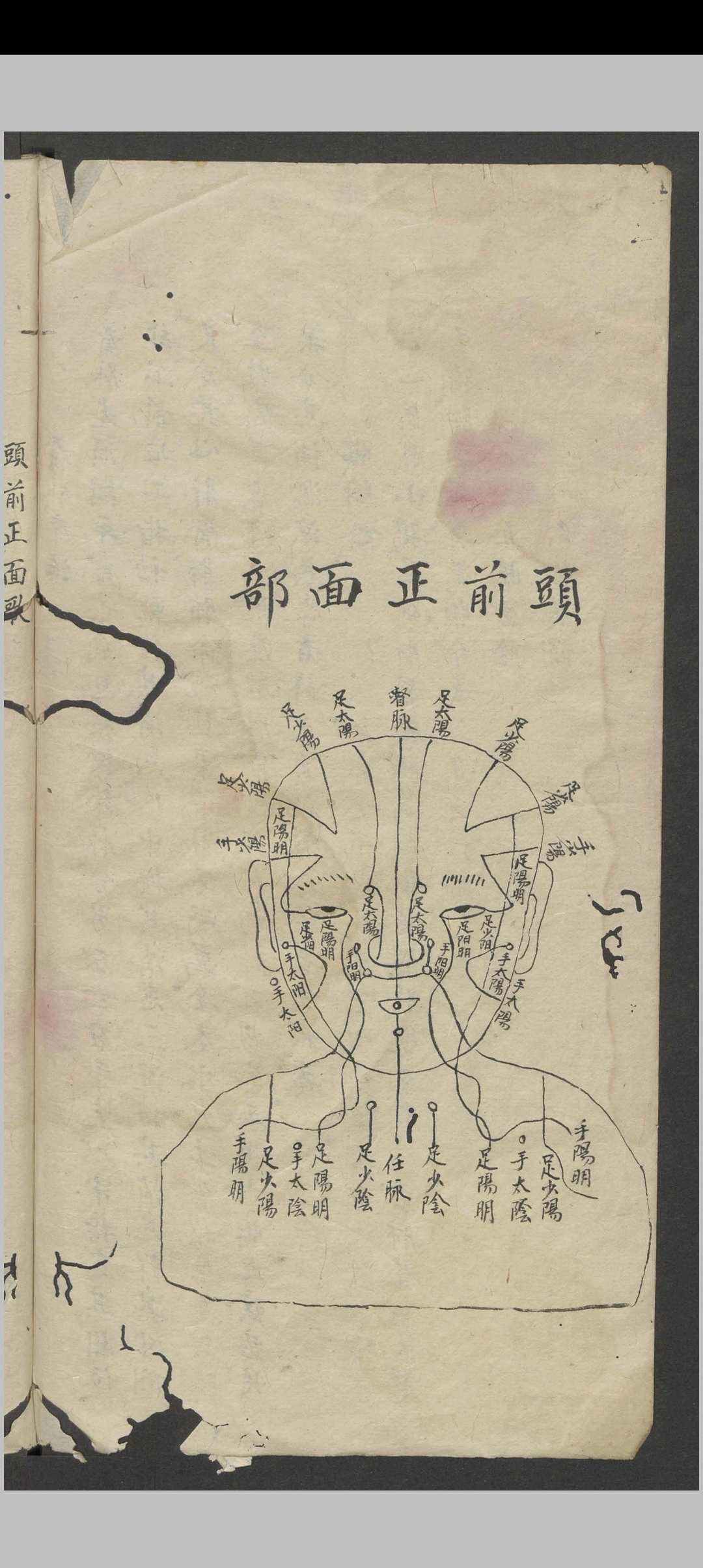图片[5]中华古籍网-专注古书收集罗延龄 开卷有益（医） , 1943中华古籍网-专注古书收集中华古籍网