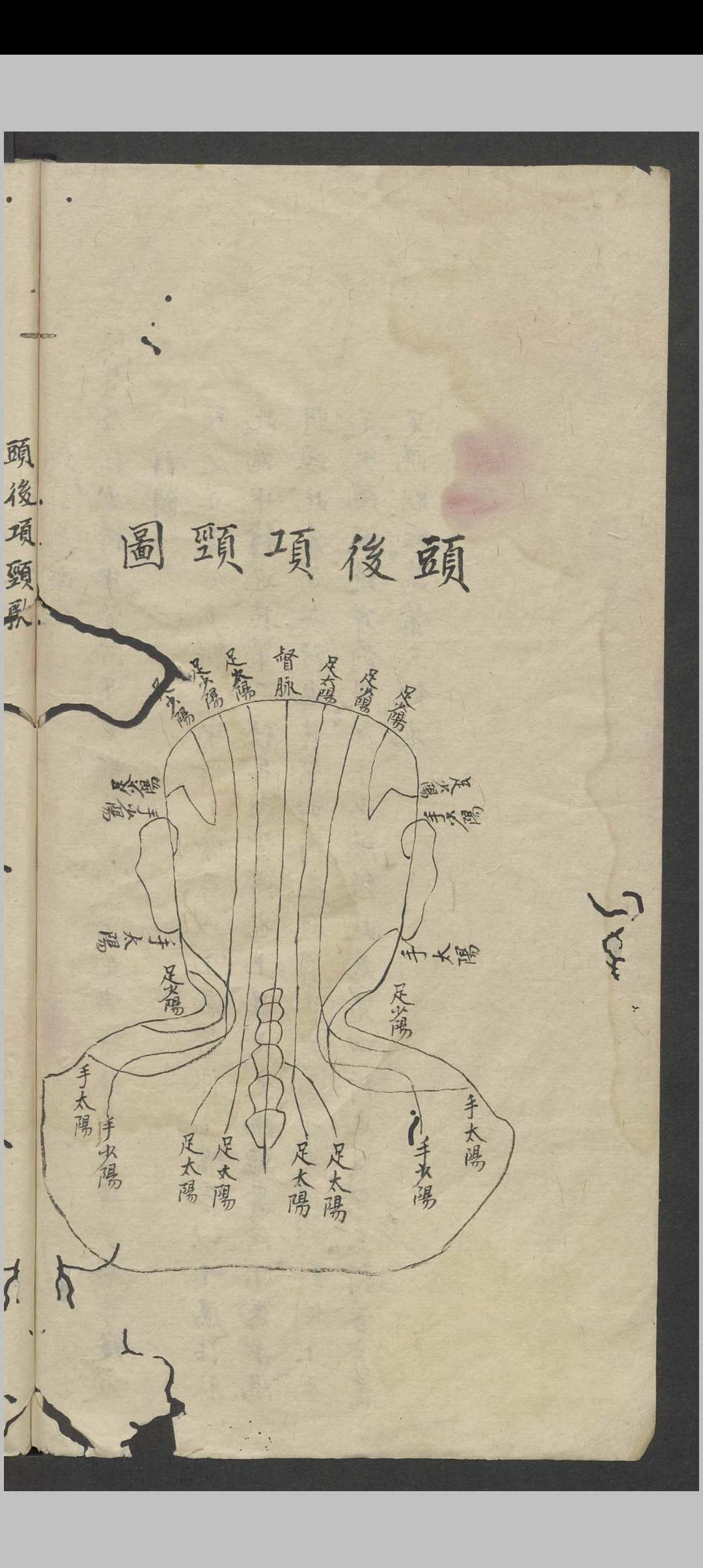 图片[6]中华古籍网-专注古书收集罗延龄 开卷有益（医） , 1943中华古籍网-专注古书收集中华古籍网