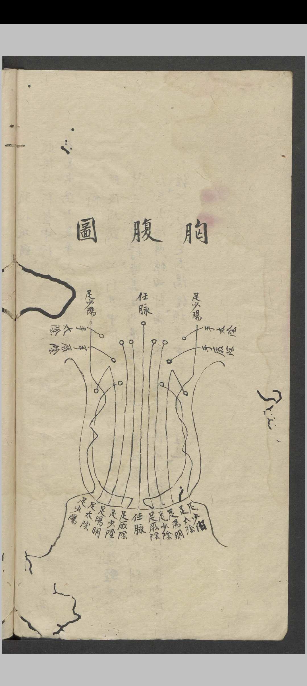 图片[8]中华古籍网-专注古书收集罗延龄 开卷有益（医） , 1943中华古籍网-专注古书收集中华古籍网