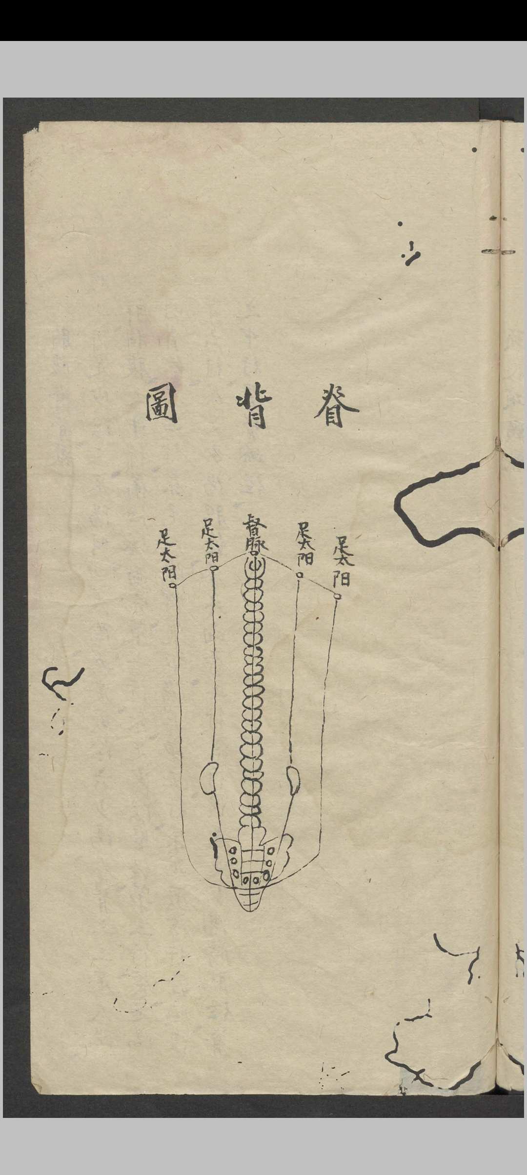 图片[13]中华古籍网-专注古书收集罗延龄 开卷有益（医） , 1943中华古籍网-专注古书收集中华古籍网