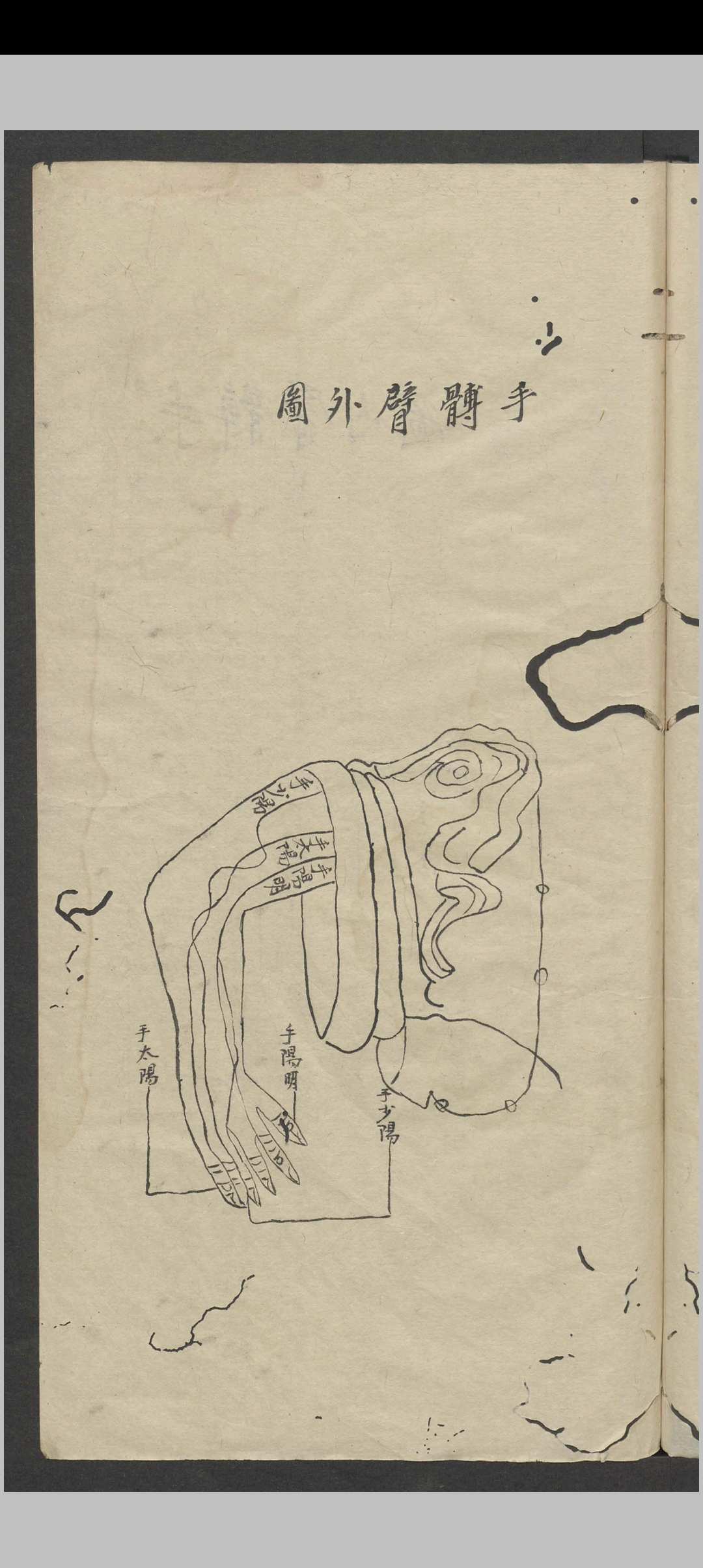 图片[15]中华古籍网-专注古书收集罗延龄 开卷有益（医） , 1943中华古籍网-专注古书收集中华古籍网